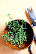 Thyme